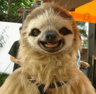 🦥 0d09ad61 sloth, animal, cute, furry, costume telegram sticker