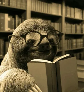 🦥 9c570470 sloth, reading, library, glasses, animal, book, nerd telegram sticker