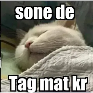 😴 18e66a64 Sone de
Tag mat kr kucing, tidur, hewan, imut telegram sticker