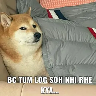 😴 e3db02f3 BC TUM LOG SOH NHI RHE KYA.... doge, anjing, meme, tempat tidur, tidur, lucu telegram sticker