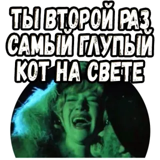 😂 0cf82a3c ТЫ ВТОРОЙ РАЗ, САМЫЙ ГЛУПЫЙ КОТ НА СВЕТЕ chat, film, stupide, drôle, phrase telegram sticker