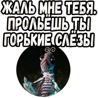 🥺 ebb44f01 ЖАЛЬ МНЕ ТЕБЯ. ПРОЛЬЁШЬ ТЫ ГОРЬКИЕ СЛЁЗЫ telegram sticker