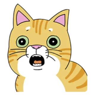 🐈 1efff218 Katze, Cartoon, geschockt, überrascht, verängstigt, erschrocken, orange Katze telegram sticker