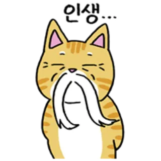 🐈 27ae7d35 인생... Katze, Cartoon, Leben, Weisheit, Koreanisch telegram sticker