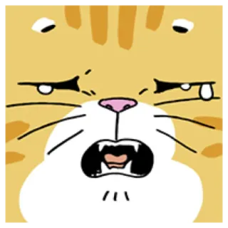 🐈 6ad7bb67 Katze, weinend, traurig, verärgert, Cartoon, Tier telegram sticker