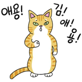 🐈 9dbd7771 Katze, Tier, lustig, Meme, stehend, süß, Ausdruck telegram sticker