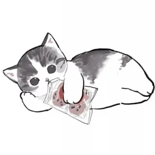 🍹 3a705ff2 kot, kotek, słodki, zwierzę, zwierzak, kreskówka whatsapp sticker