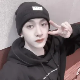 🍹 494dec1d osoba, kapelusz, znak pokoju, selfie, portret whatsapp sticker