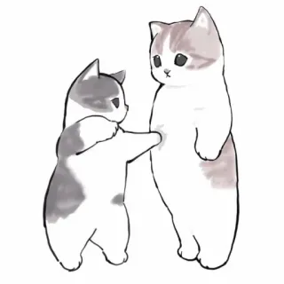 🍹 842dbaec kot, kociak, słodki, zwierzę, kreskówka, zwierzę domowe whatsapp sticker