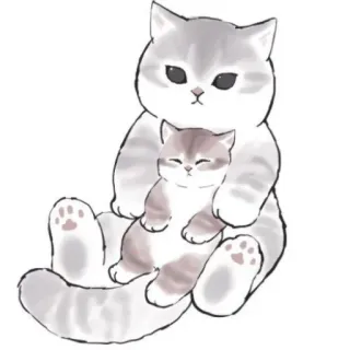 🍹 884b9b7d kot, kotek, słodki, zwierzęta, zwierzak, rodzina, matka, dziecko whatsapp sticker