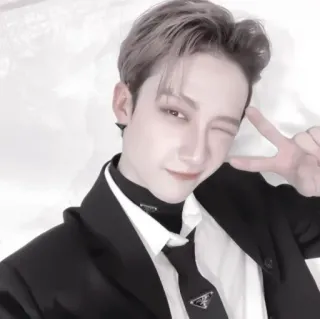 🍹 bfed3a36 mężczyzna, osoba, garnitur, krawat, mruganie, znak pokoju whatsapp sticker