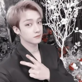 🍹 d092dabe osoba, mężczyzna, znak pokoju, kpop, portret, idol, koreański whatsapp sticker