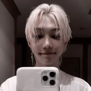 🧹 c15d5257 telegram sticker