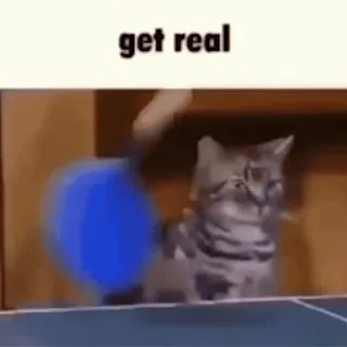 Sax 🎷 Wen telegram stickers