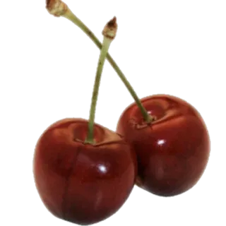 🍒 94ac50d1 さくらんぼ, フルーツ, 赤, 食べ物, 甘い, ヘルシー, 夏 telegram sticker
