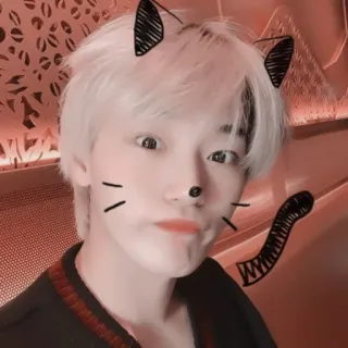 π f2a95f34 cat, ears, filter, cartoon, selfie telegram sticker