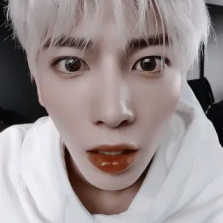 🍣 161e020e telegram sticker