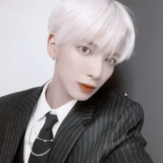 🍣 f66b1304 hombre, K-pop, traje, corbata, retrato, pelo blanco, ropa formal telegram sticker