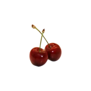 🍒 441ac10f fruit, cherries, red, food whatsapp sticker
