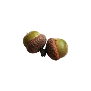 aesthetics by @stikeraestetik telegram stickers