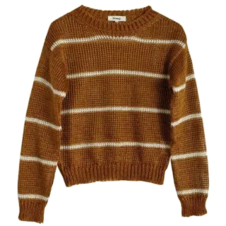 🌟 e6be06d3 sweater, clothing, brown, striped, fashion whatsapp sticker