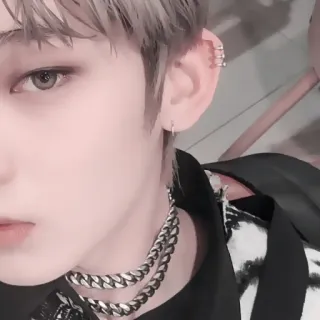 🍆 80381405 telegram sticker