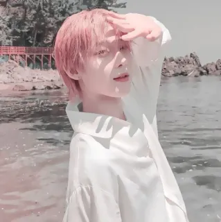 🍆 d8bdc7af telegram sticker