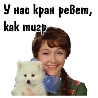 ☺️ b958a8f8 У нас кран ревет, как тигр mujer, perro, ruso, frase, agua telegram sticker