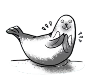 🤯 4138e7cf foca, animale, carino, animale marino, cartone animato whatsapp sticker