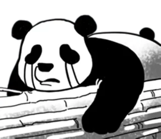 🤬 53ecd4ed Panda, Triste, Piangere, Animale, Bianco e nero whatsapp sticker