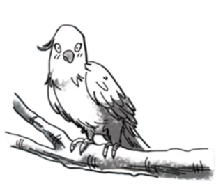 Africa Calling @stickersb2b telegram stickers