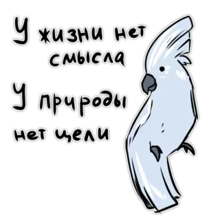Злі папуги @artstriks telegram stickers