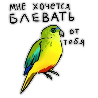 🤮 173c4c3e МНЕ ХОЧЕТСЯ БЛЕВАТЬ ОТ ТЕБЯ papagaio, pássaro, russo, texto, vómito, verde, animal telegram sticker