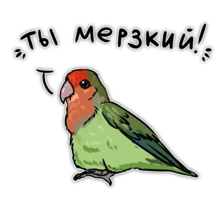 🤢 60799285 ты мерзкий! pássaro, papagaio, fofo, animal, russo, insulto telegram sticker