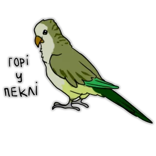 😡 738d082b гори у пеклі pássaro, papagaio, adesivo telegram sticker