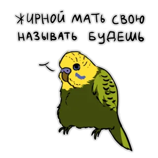 👩 7a06c008 Жирной мать свою называть будешь pássaro, papagaio, ofensivo, insulto, russo telegram sticker