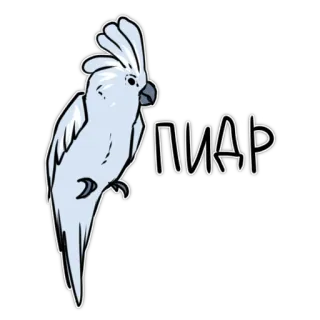 👹 7b26ea31 ПИДР papagaio, pássaro, cacatua, texto, ofensivo telegram sticker