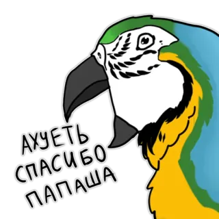 ❤️ 932e1929 АХУЕТЬ СПАСИБО ПАПАША papagaio, pássaro, adesivo, russo, animal telegram sticker