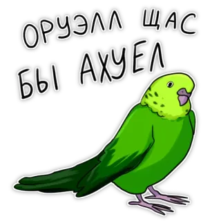 🤬 acf2d652 ОРУЭЛЛ ЩАС БЫ АХУЕЛ pássaro, periquito, engraçado, meme, texto, russo telegram sticker