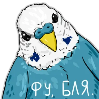 😾 c2eb206b фу, БЛЯ. pássaro, papagaio, russo, ofensivo telegram sticker