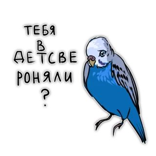 🤱 ef5ceb7c ТЕБЯ В ДЕТСТВЕ РОНЯЛИ? pássaro, periquito, pergunta, russo telegram sticker