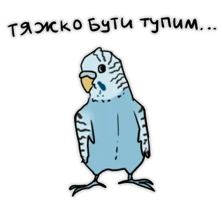 😉 f1750e23 ТЯЖКО БУТИ ТУПИМ... pássaro, periquito, desenho animado, adesivo, animal de estimação, fofo telegram sticker
