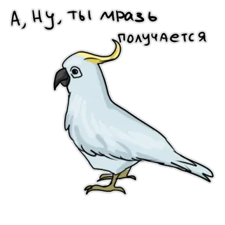 🧐 fb46913c А, ну, ты мразь получается papagaio, pássaro, adesivo, cacatua, branco, animal telegram sticker