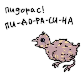 👹 fbcbea8f пидорас! ПИ-ДО-РА-СИ-НА ofensivo, insulto, pássaro, russo, insulto telegram sticker