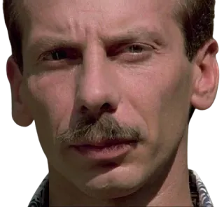 🤨 d2672a82 telegram sticker