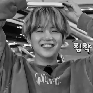 🩹 6f30548e 침착 coreano, calmo, persona, sorriso, asiatico whatsapp sticker