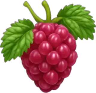 🤩 a708e856 raspberry, buah, makanan, beri, manis, segar, sehat telegram sticker