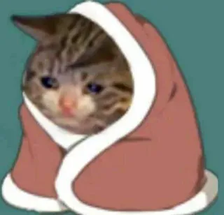 🏵 c1d5951b gato, triste, meme, animal, gatinho, fofo, engraçado telegram sticker