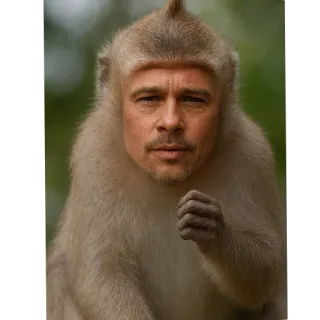 🤲 66acb61f singe, grand singe, Brad Pitt, célébrité, animal, drôle, hybride whatsapp sticker