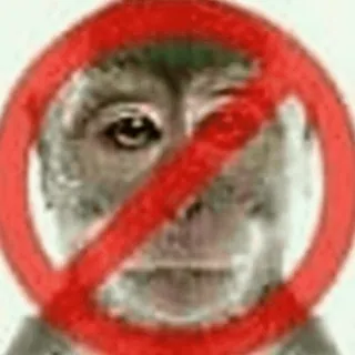 🚫 d64f5ce7 animal, interdiction, interdit, singe, non whatsapp sticker